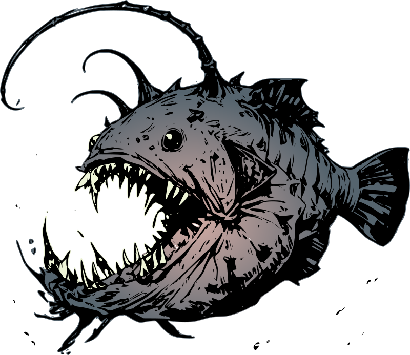 Anglerfish D