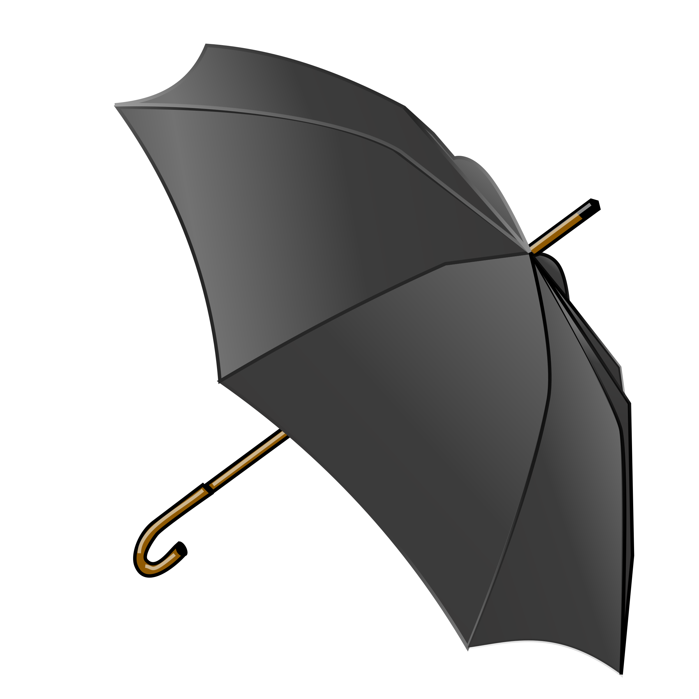 LX Black Umbrella