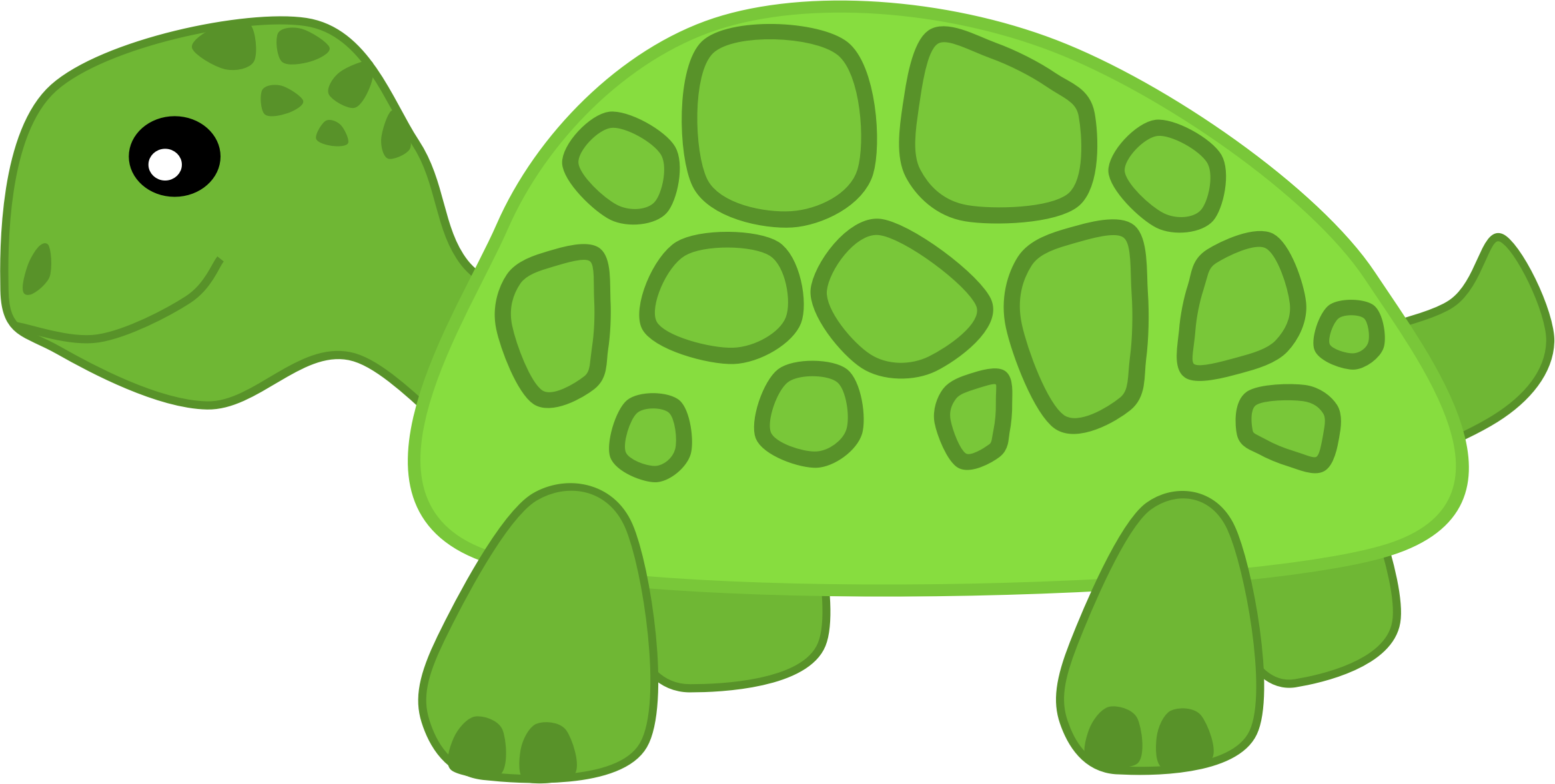 microsoft clip art turtle - photo #4