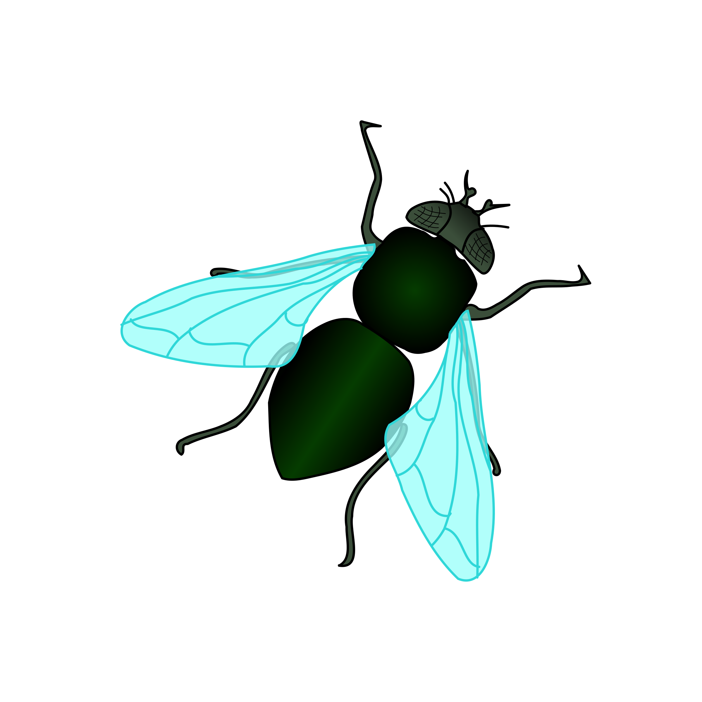 fly images clip art - photo #28