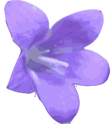 flower-03 by yves_guillou -