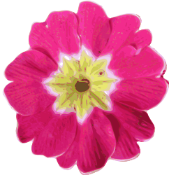 flower-11 by yves_guillou -