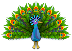 Peacock by Viscious-Speed - 