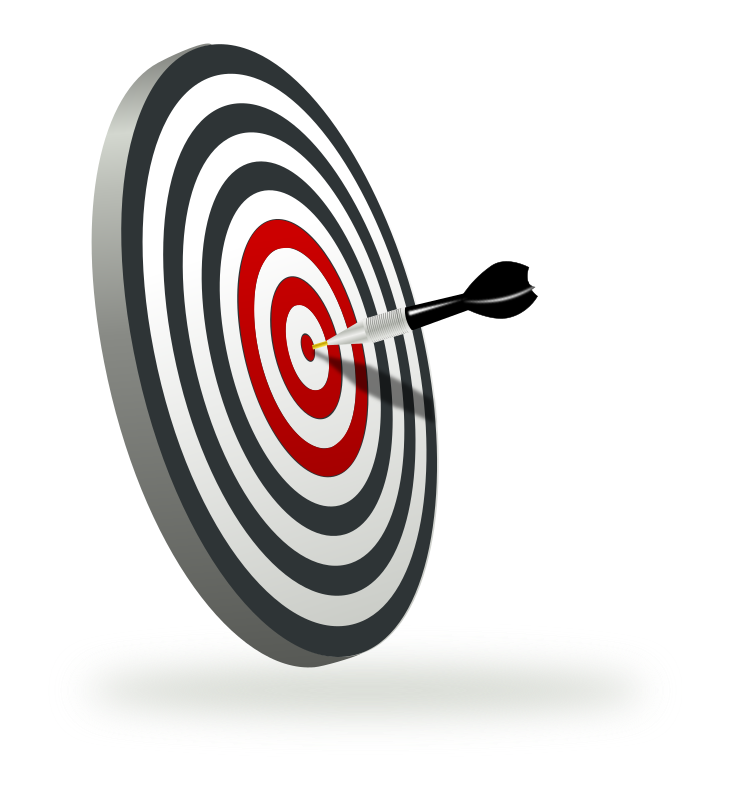 a target with a dart