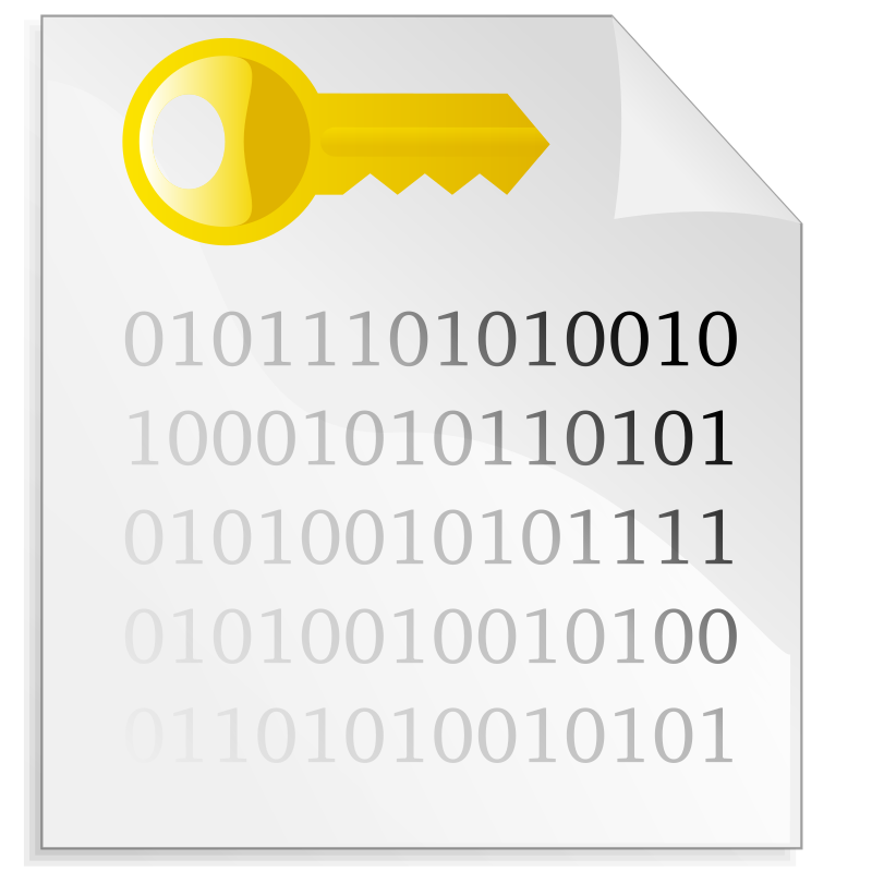 Encrypted file icon