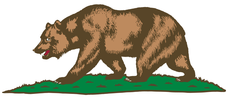Flag of California - Bear and Plot 