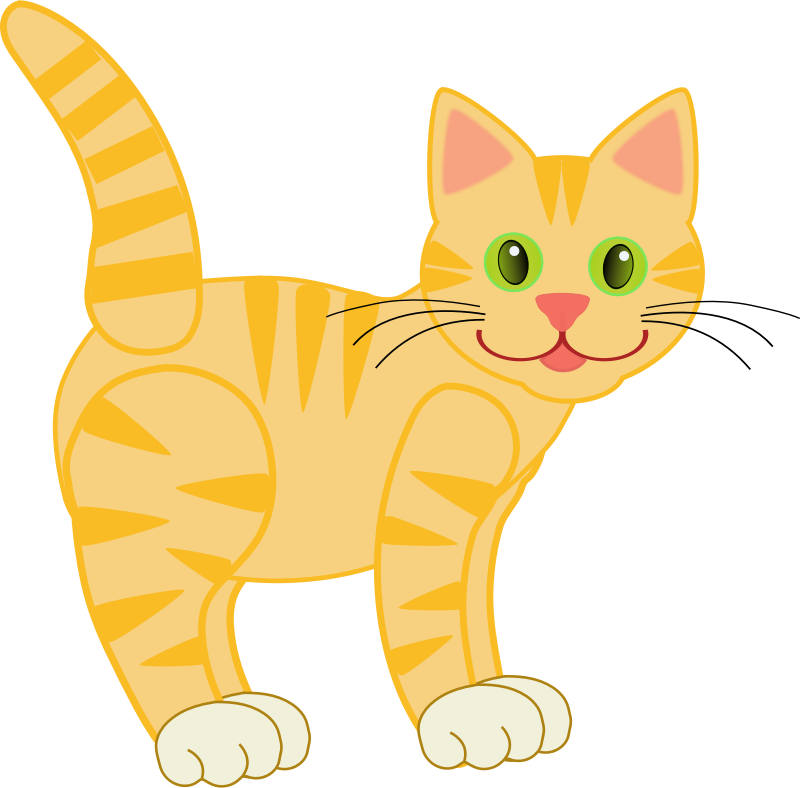 Yellow Tiger Cat(four legs)