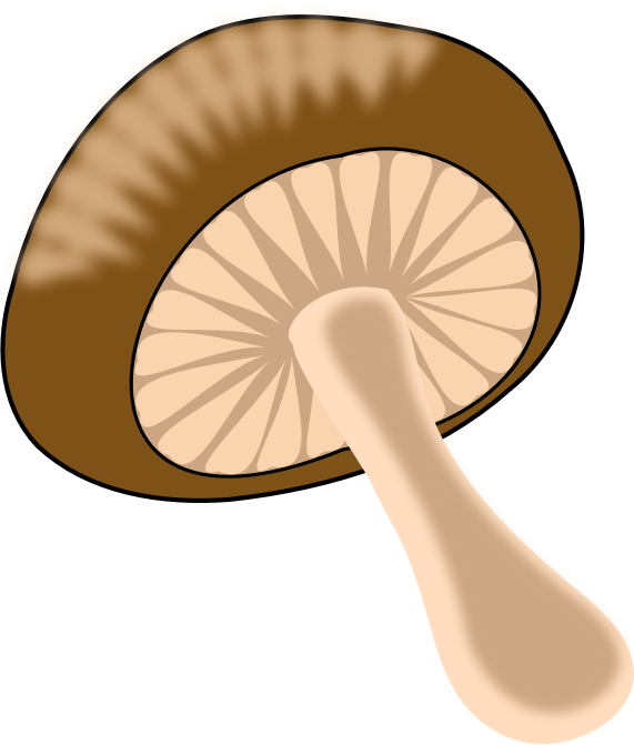 Green - orange mushroom