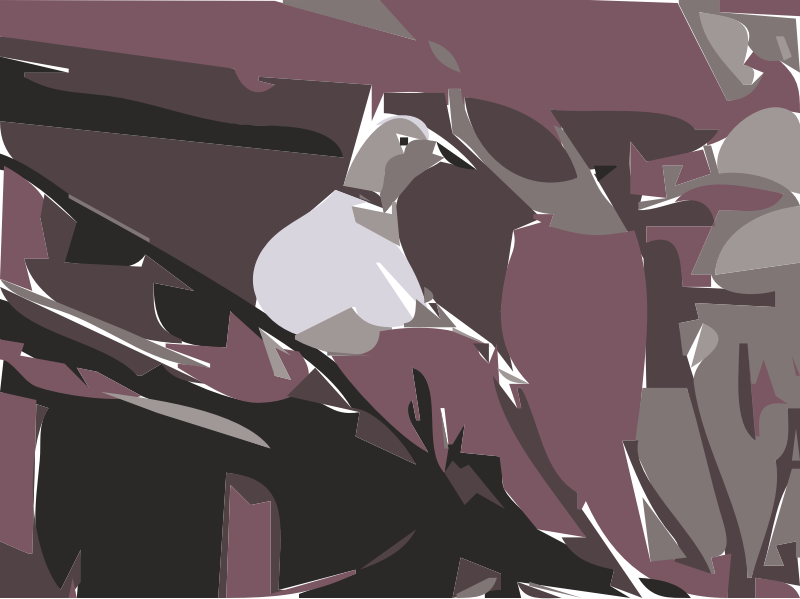 Lovey the Dove Pigeon