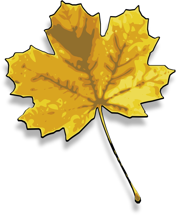 maple leaf 2