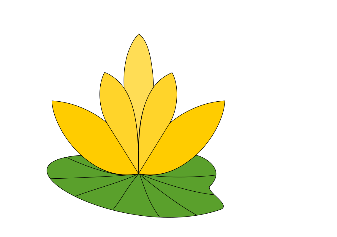water lotus