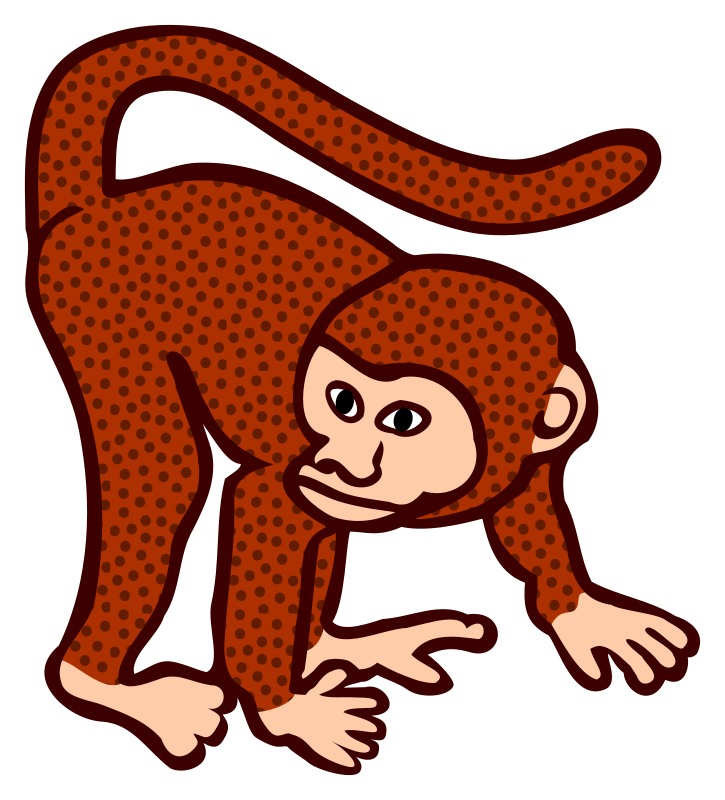 monkey - coloured