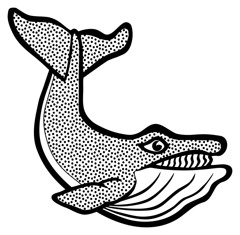 whale - lineart