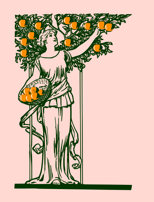 lady picking oranges-remix