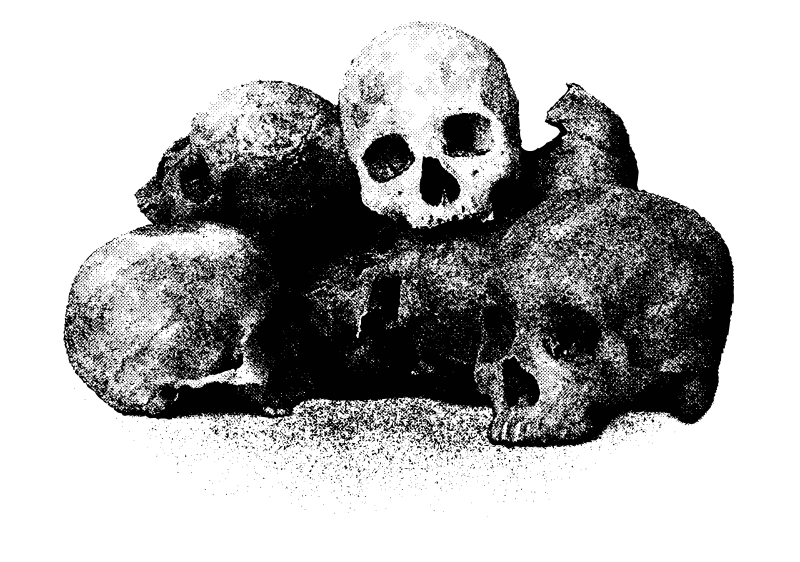 Pile of skulls 2