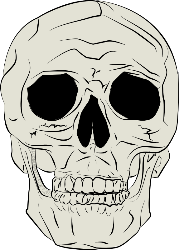 Human Skull by JP