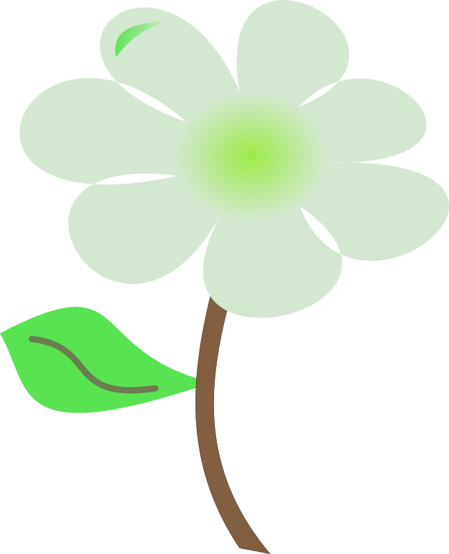 Flor Flower