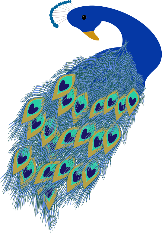 Peacock Illustration