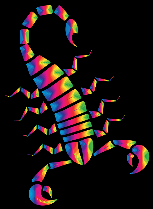 Colorful Abstract Tribal Scorpion 13