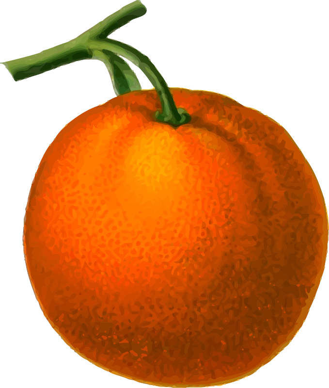 Orange (detailed)