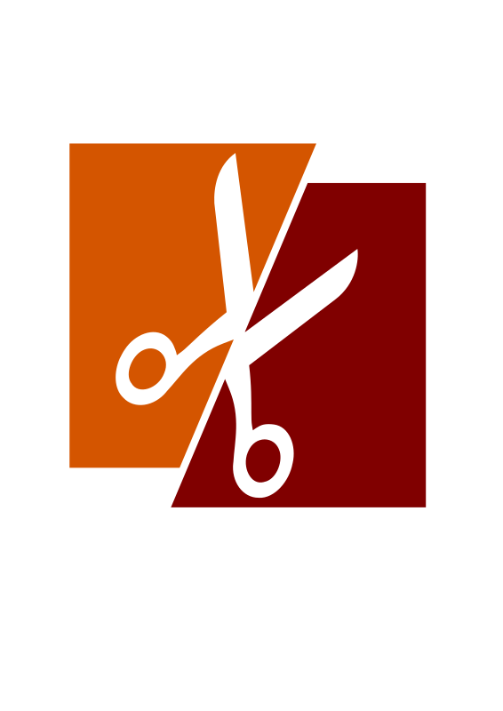 Split scissors