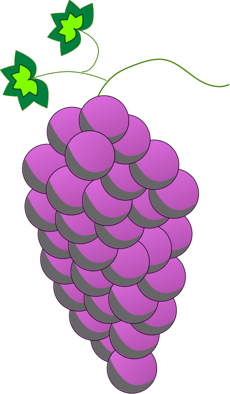 Colored Grapes line art - Purple