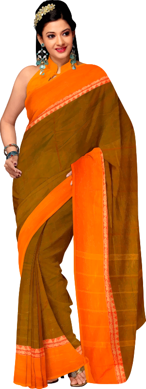 Woman in saree 4