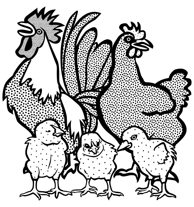 chickens - lineart