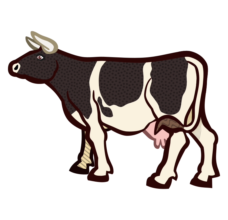 cow2 - coloured