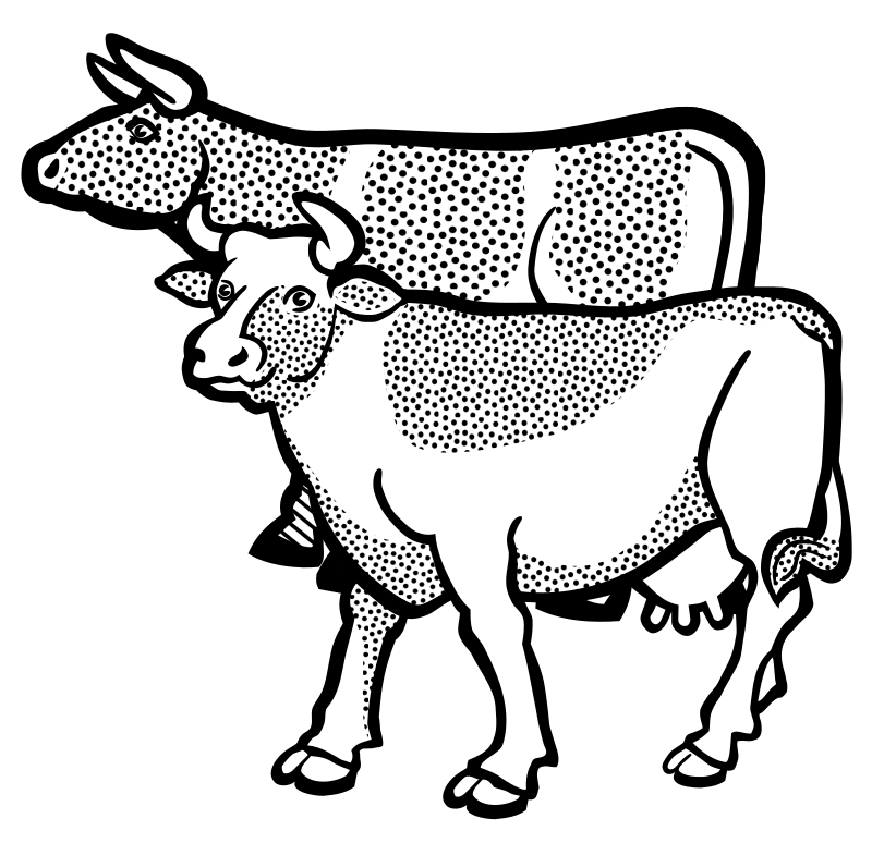 cows - lineart