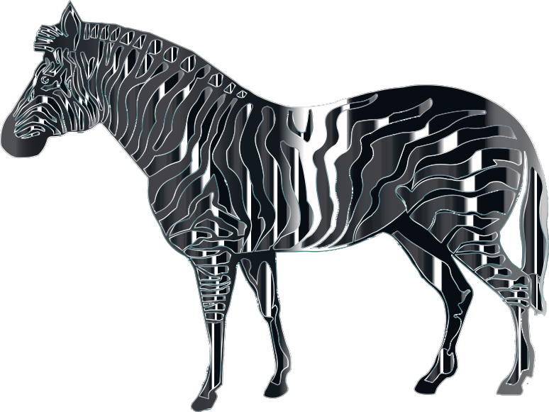 Polished Onyx Zebra