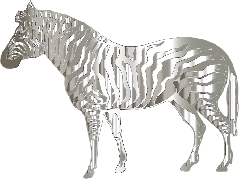 Mirrored Chrome Zebra