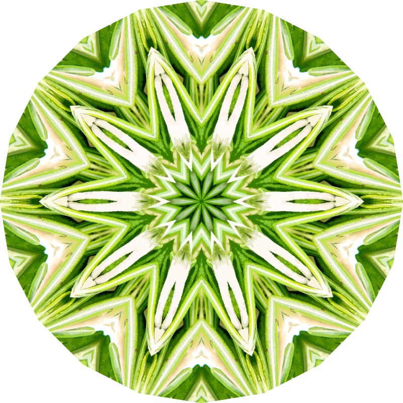 Rosemary kaleidoscope 1