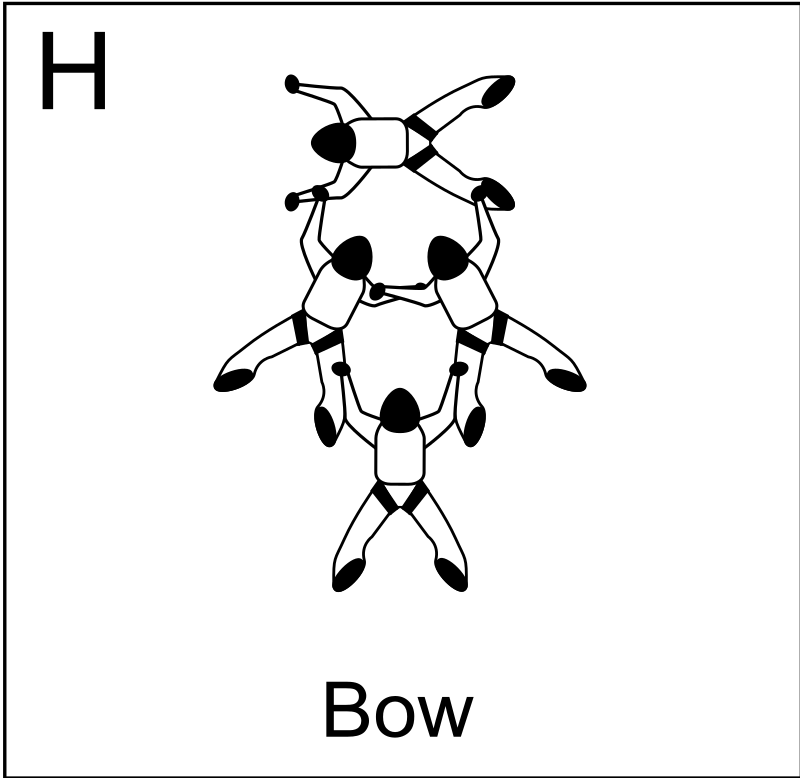 Figure H - Bow, Vol relatif à 4, Formation Skydiving 4-Way
