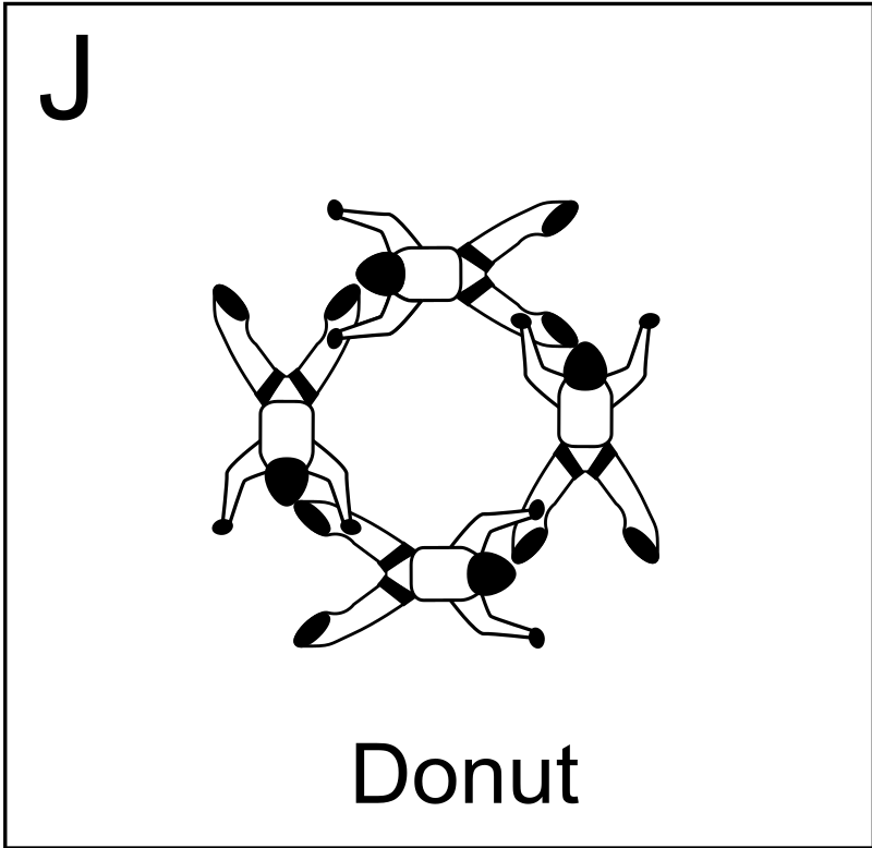 Figure J - Donut, Vol relatif à 4, Formation Skydiving 4-Way
