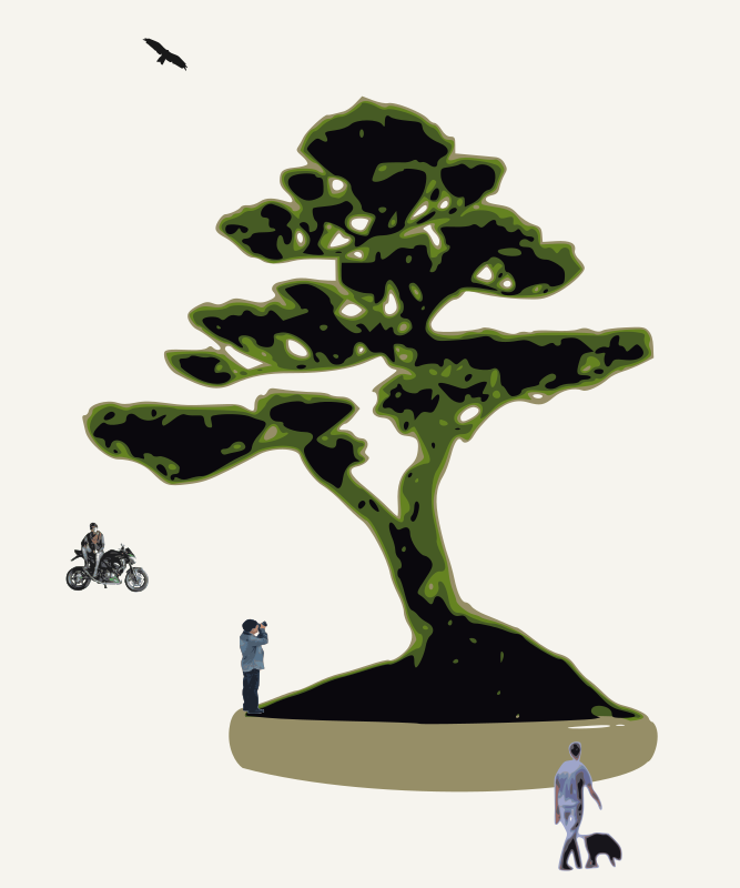 bonsai with figures