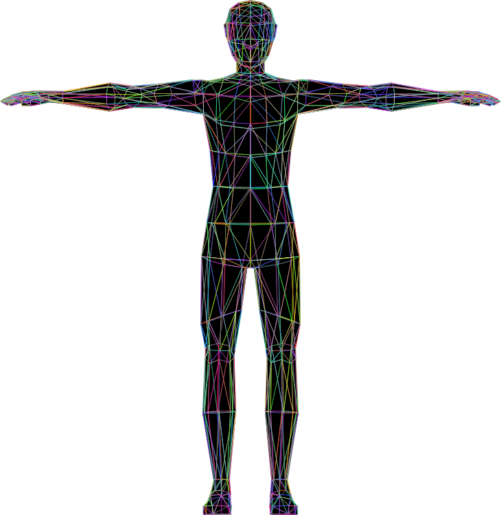 Prismatic Low Poly Human Male Wireframe