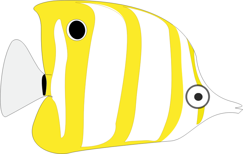 tropical cartoon fish