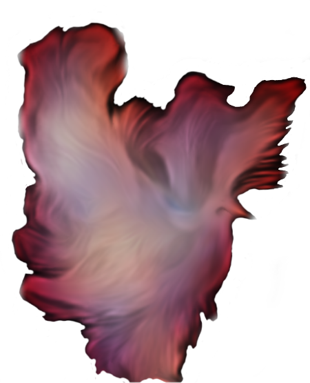 Dove Fantasy Flame Red Flight