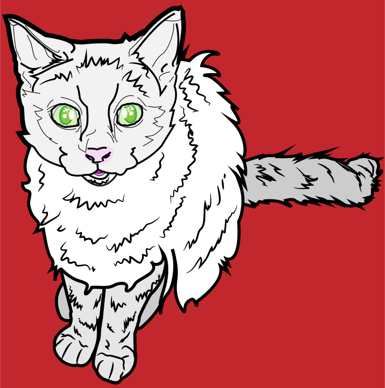 White Cat on Red Background 