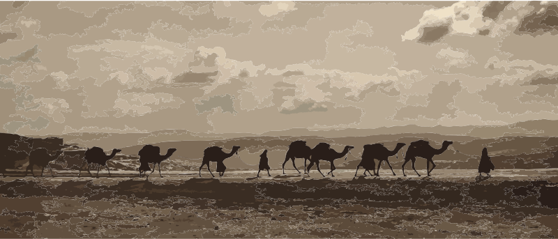 Egyptian camel transport3