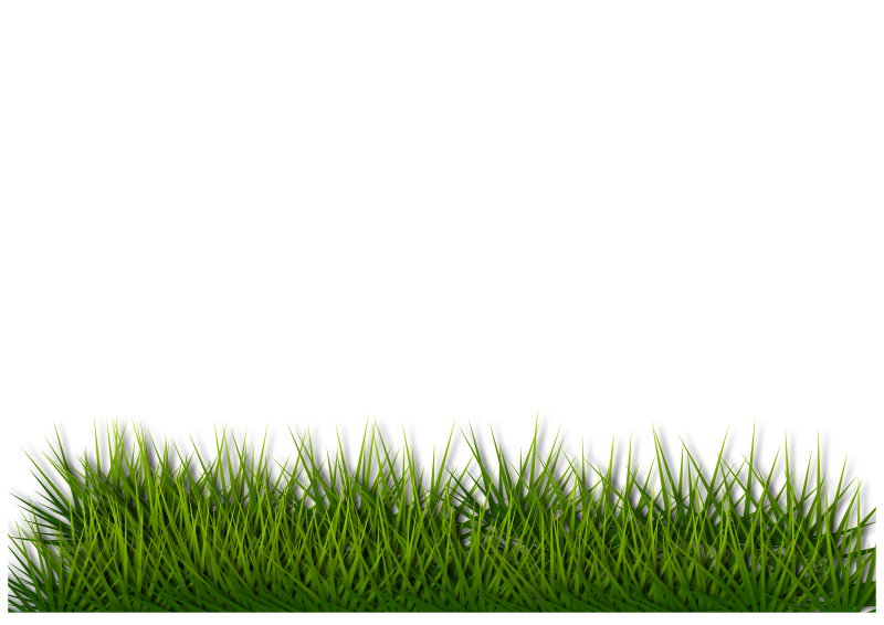 Grass 2