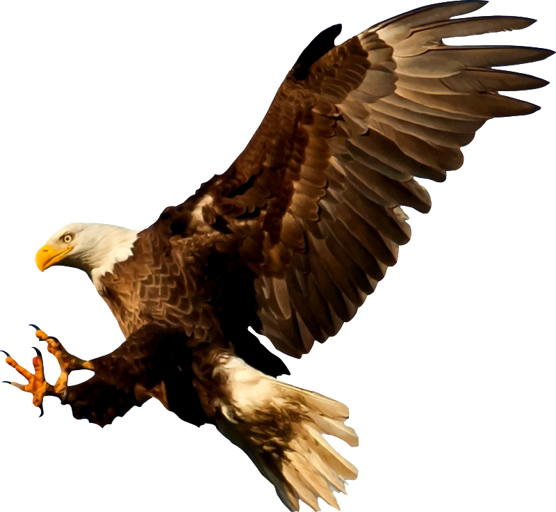 Eagle 9