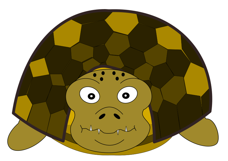Turtle front