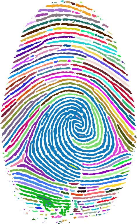 Prismatic Fingerprint