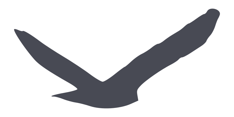 predatory bird silhouette