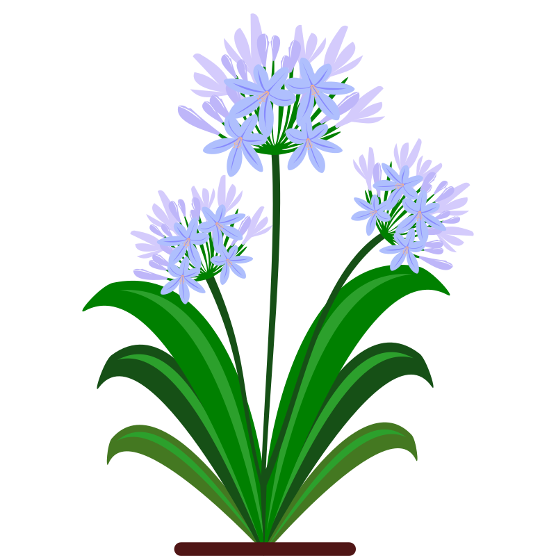 flower 33