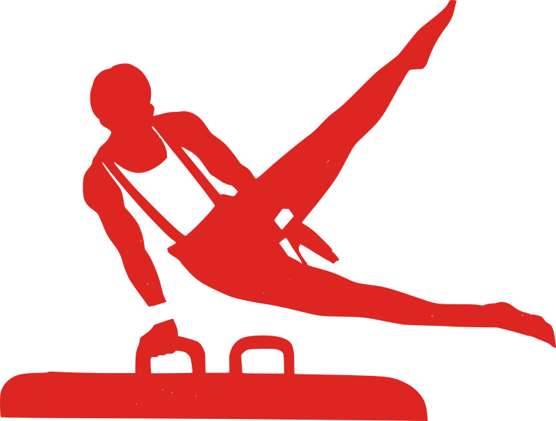 Gymnastics Icon