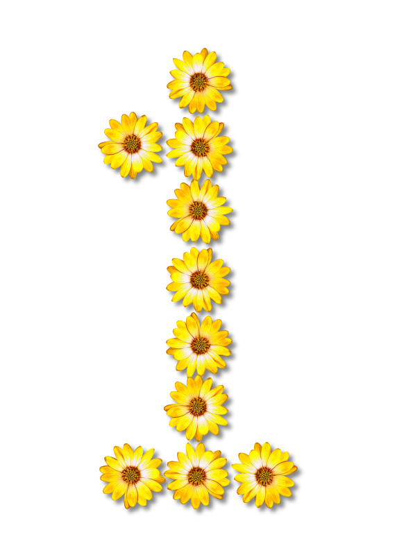 Floral alphabet, 1