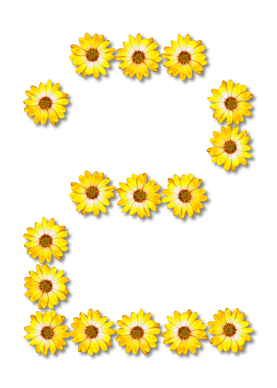 Floral alphabet, 2